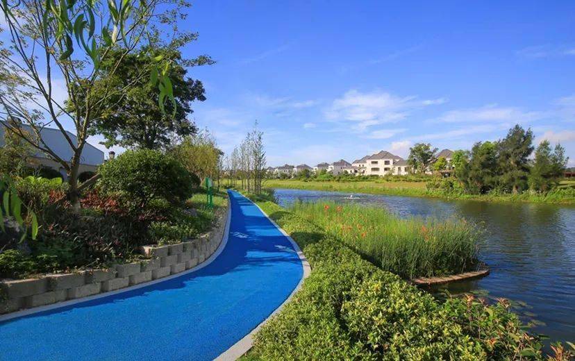 长峙岛这条绿道获评"全省最美"!_舟山