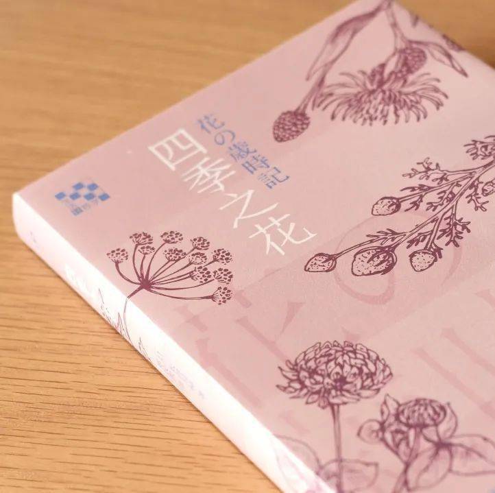 这套书 限时优惠还有两天 动物