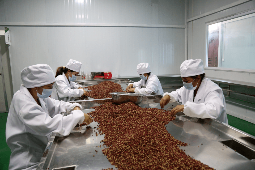 除此之外,武都区对30多家花椒加工企业及合作社给予大力扶持,并与相关