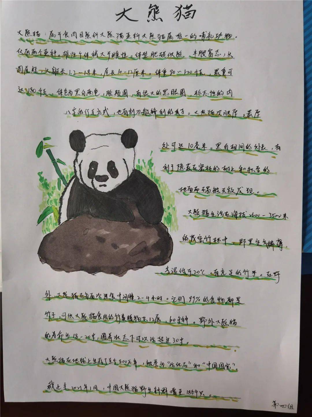 研学结束后,同学们纷纷通过手抄报,观察日记等形式,图文并茂地记录下
