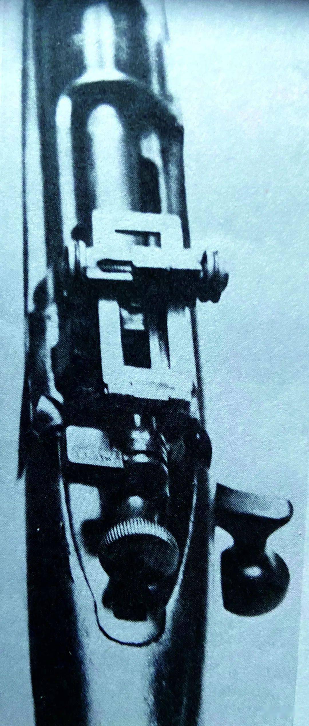 P-14步枪图片