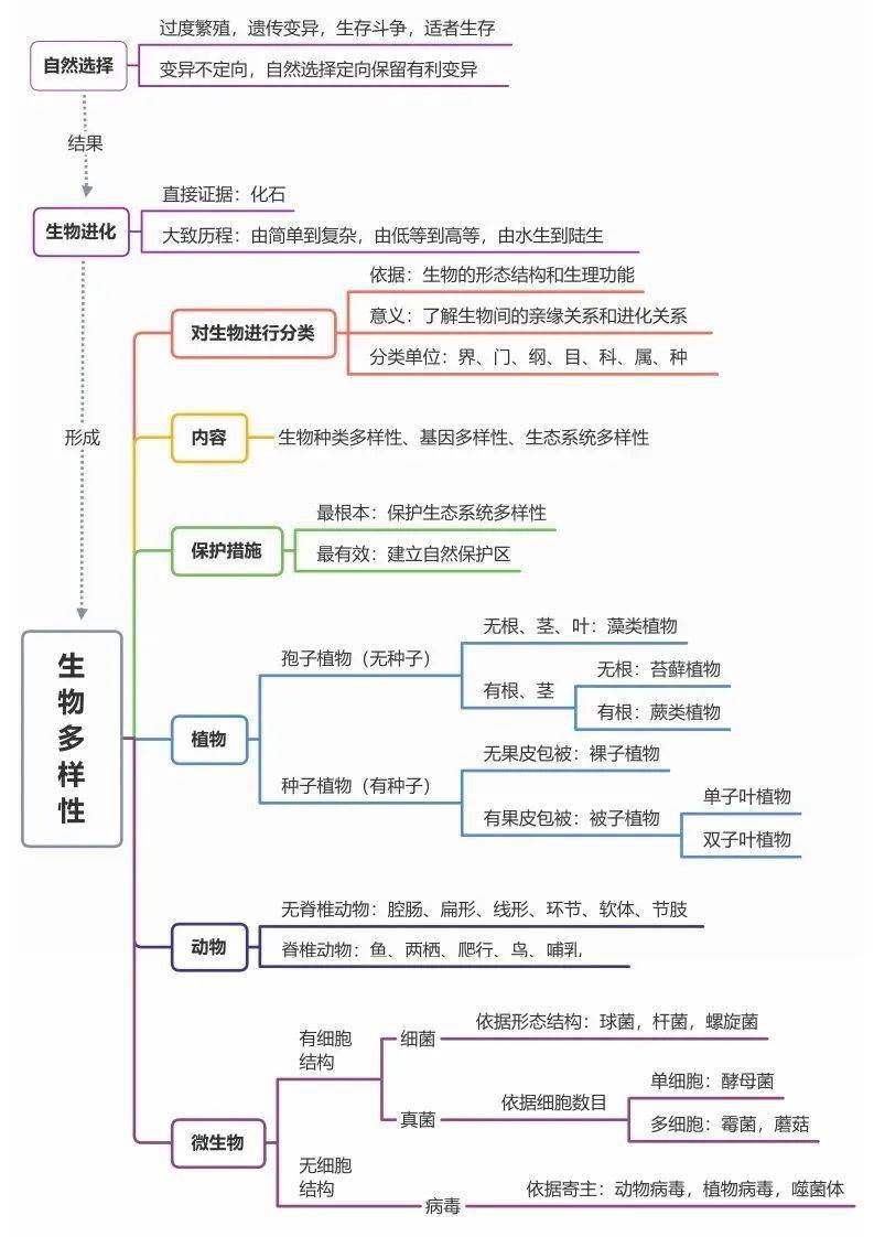 了然|初中生物全册思维导图总结，所有必考点一目 了然！