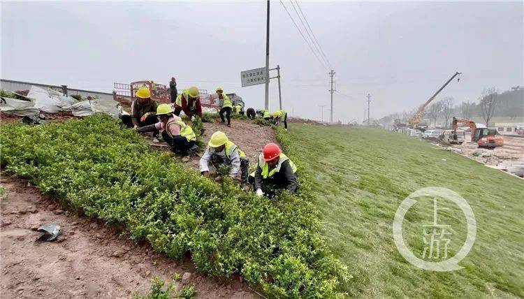 科学大道有多“科学”？示范区即将完工投入！