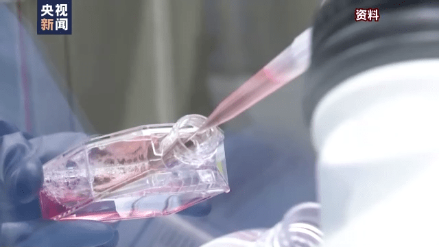 疫苗|我国新冠特效药有了“时间表”，有望年底前获批附条件上市