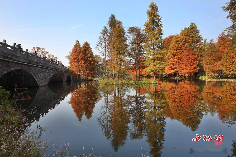 南京|南京紫金山燕雀湖初冬时节景如画