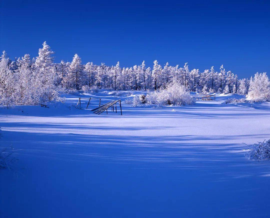想和你一起去北方,亲眼看着雪花落下_东北