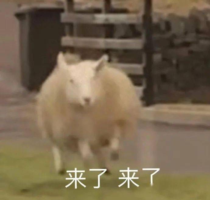 层次感 小黑裤输惨了！冬天必买的“豆腐裤”太太太好看了吧！！