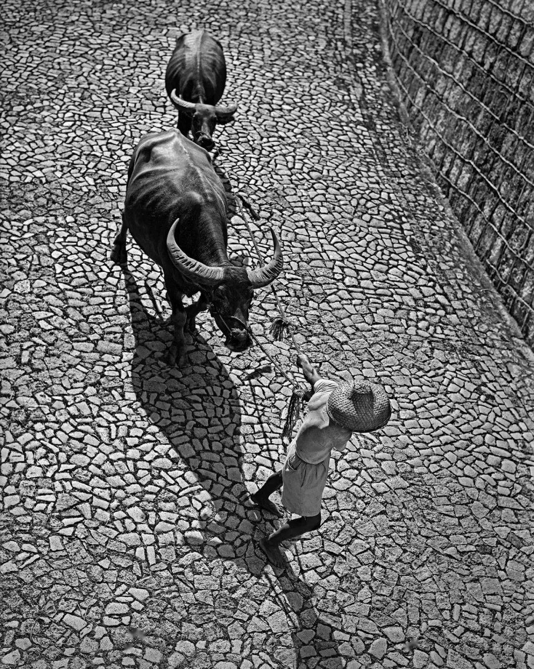 摄影泰斗简庆福先生黑白老照片欣赏