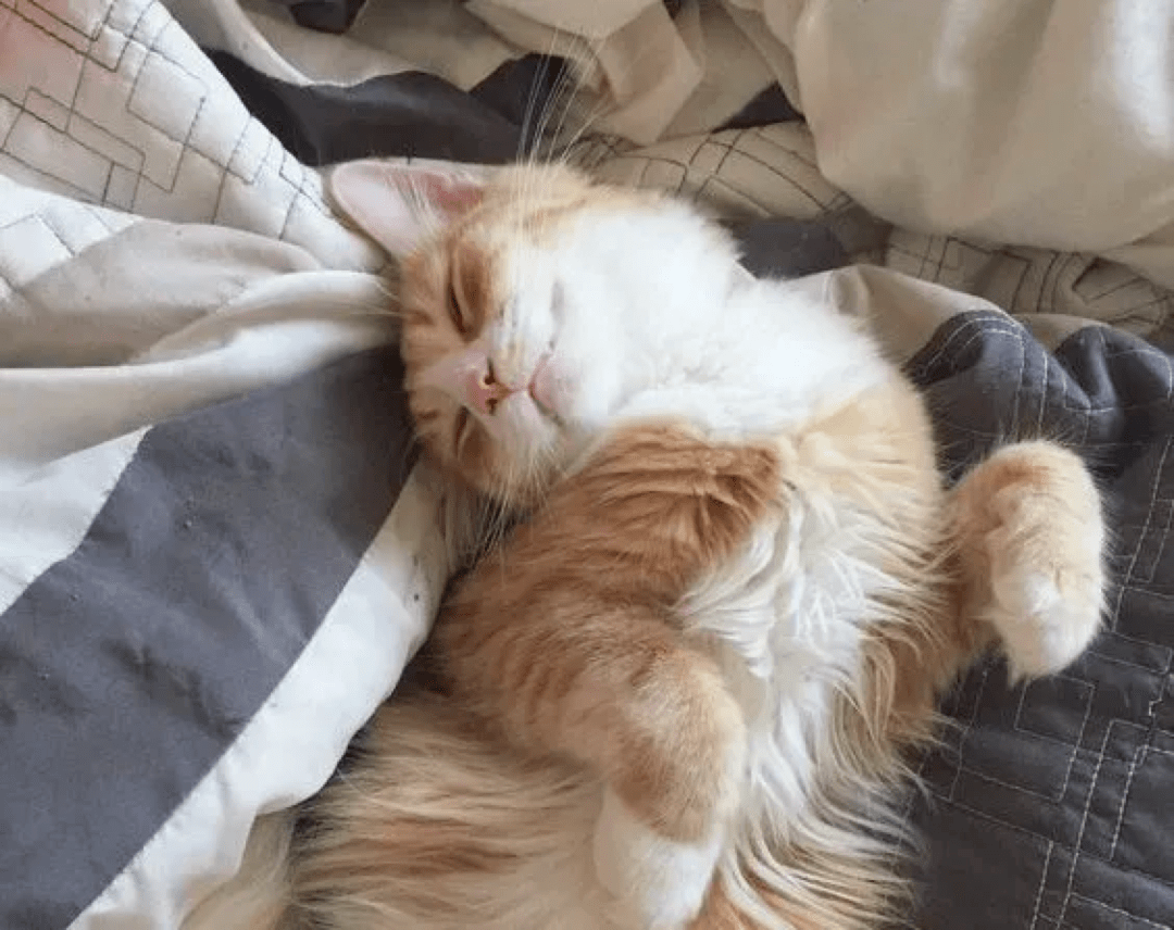 物品|带货主播绝对不希望你知道的秘密