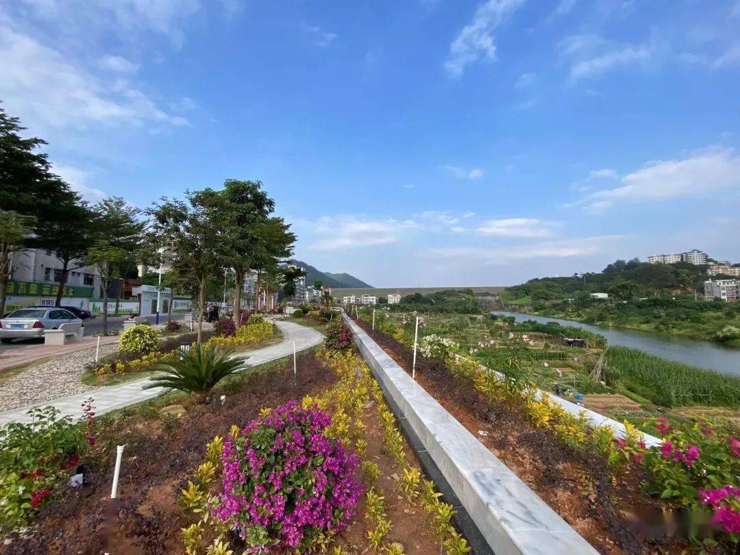 小口袋里的大幸福高州长坡镇新建风景优的口袋公园开园