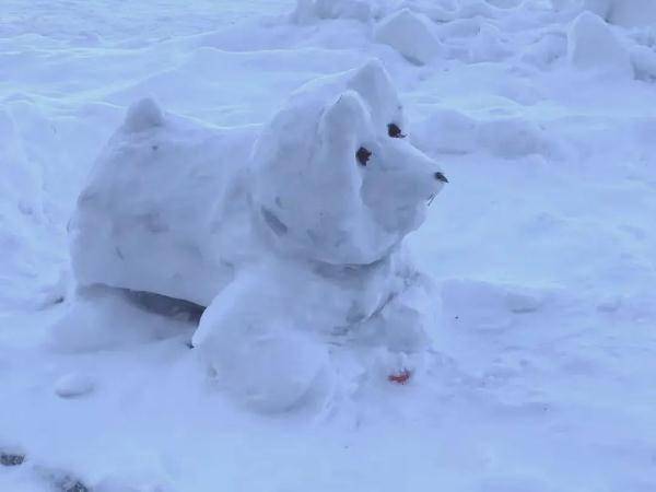 气温黑龙江女大学生的“雪灯”火了！别急，雨雪马上又到，你也能玩了！