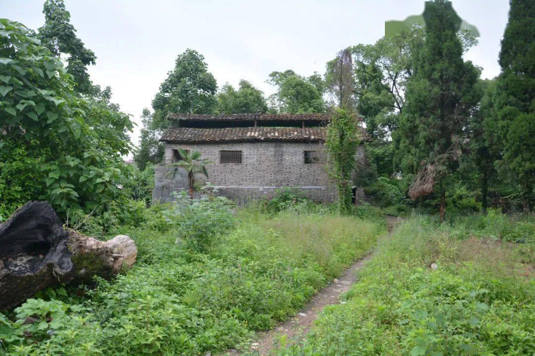 江枫丨梦在青山白水间 垦殖场