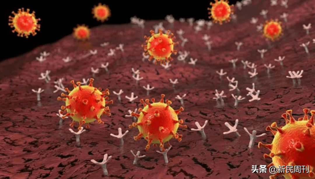 病毒|中国研发新冠特效药有望年底上市