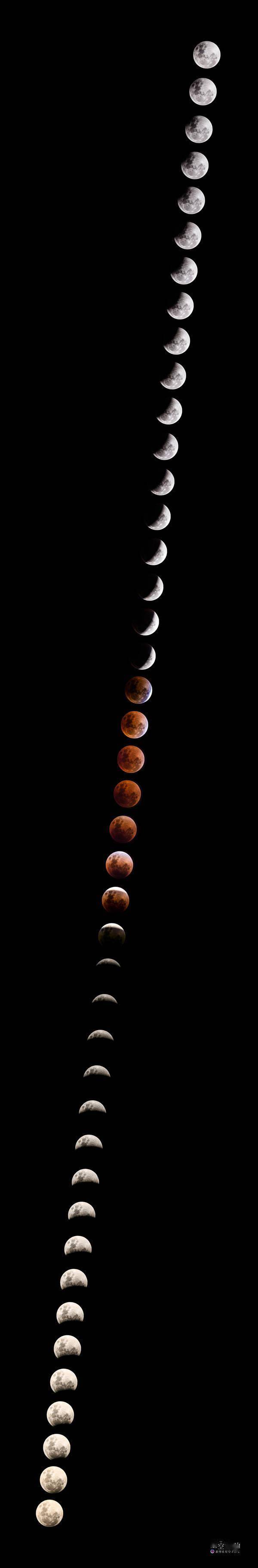 “天狗食月”来了，专业人士带你解锁拍摄月食的正确姿势