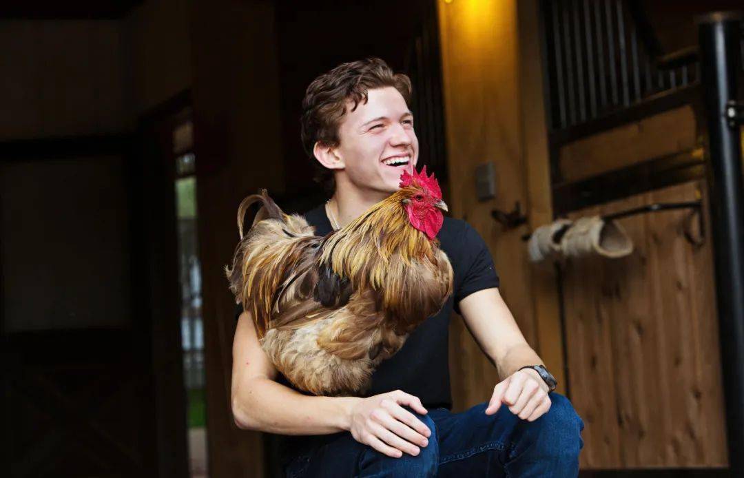 角色|传荷兰弟获得漫威力捧，会从荷兰弟一直演到荷兰大爷！