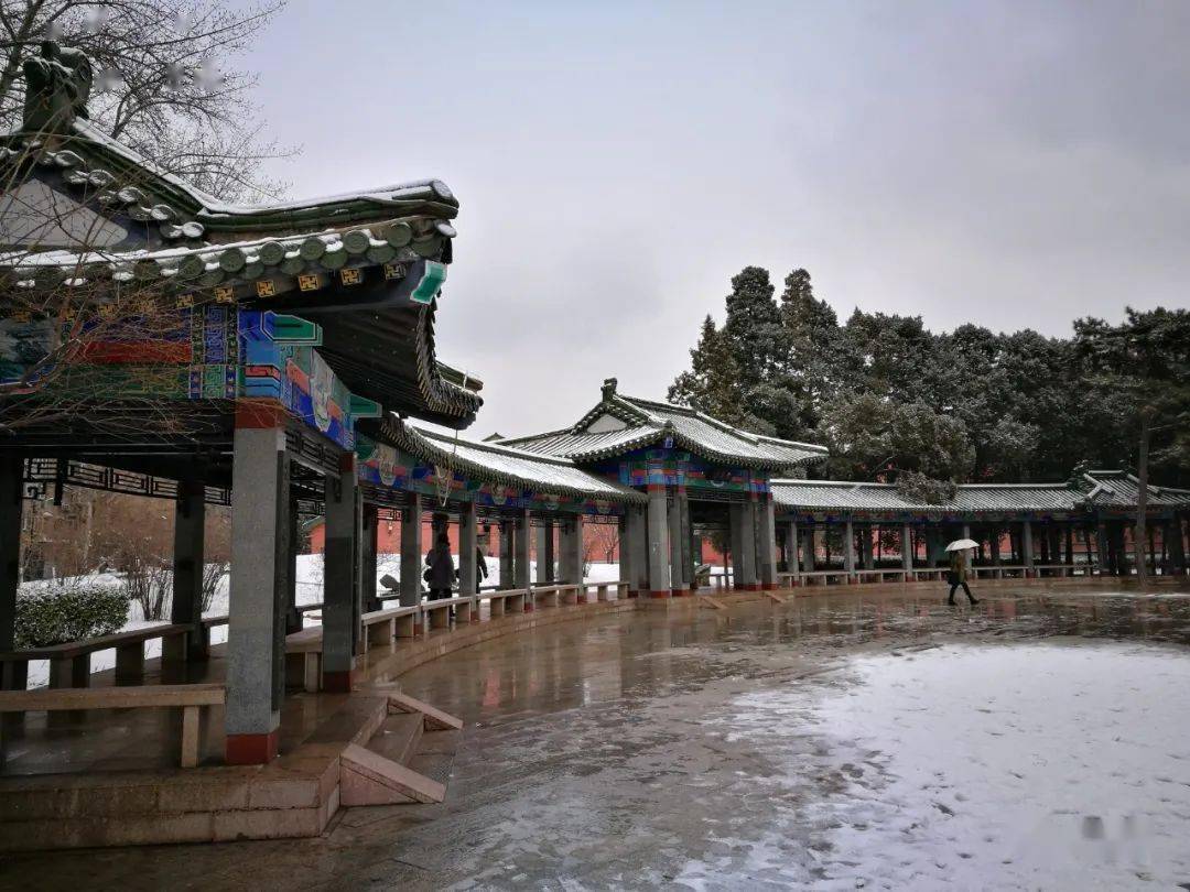 镜头下的人大校园20142020