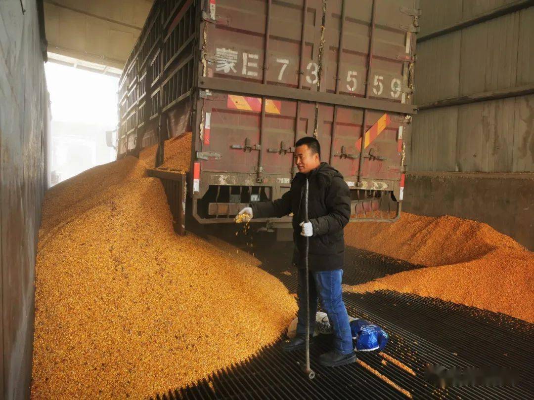 采购部经理王海滨对记者说,我们公司从十月底对农户开始展开新粮收购