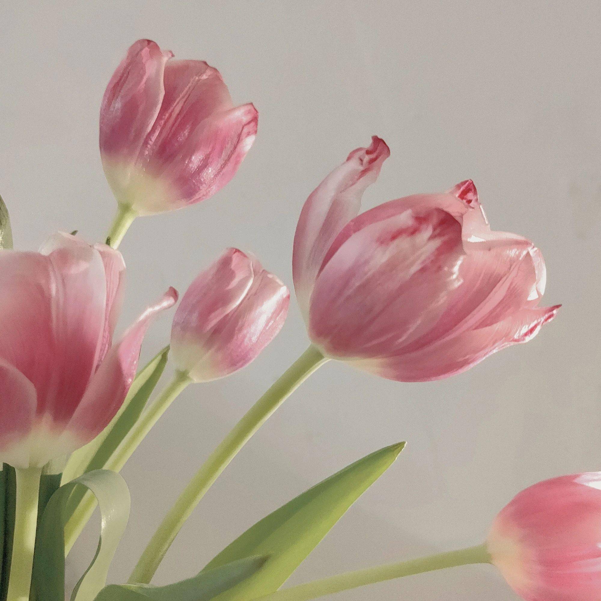 能够推动爱情的从来就不是什么新鲜感,也不是短暂时间内的热情,而是