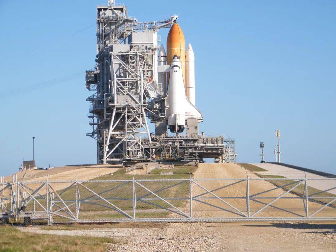 英语每日一词:tenure track