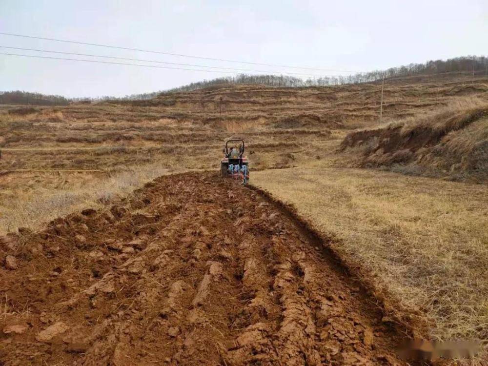 耕地撂荒迎来三必须明年年中为限是领奖励还是罚款自己选