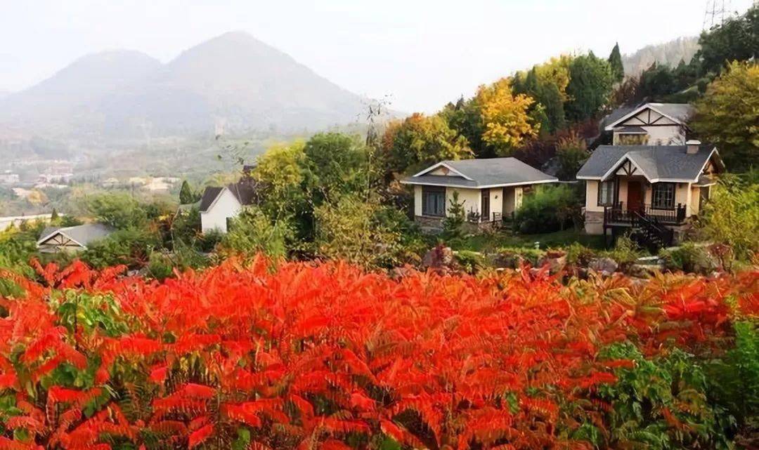 枣庄市中区丨深秋的仙坛山温泉小镇，五颜六色应有尽有！