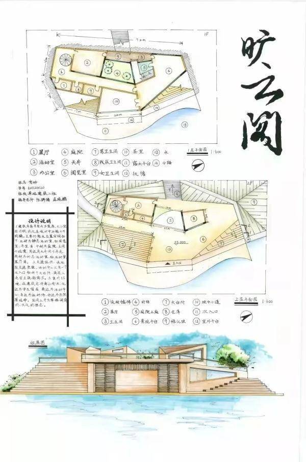 金文|听说上了大学就没作业了，真的吗？