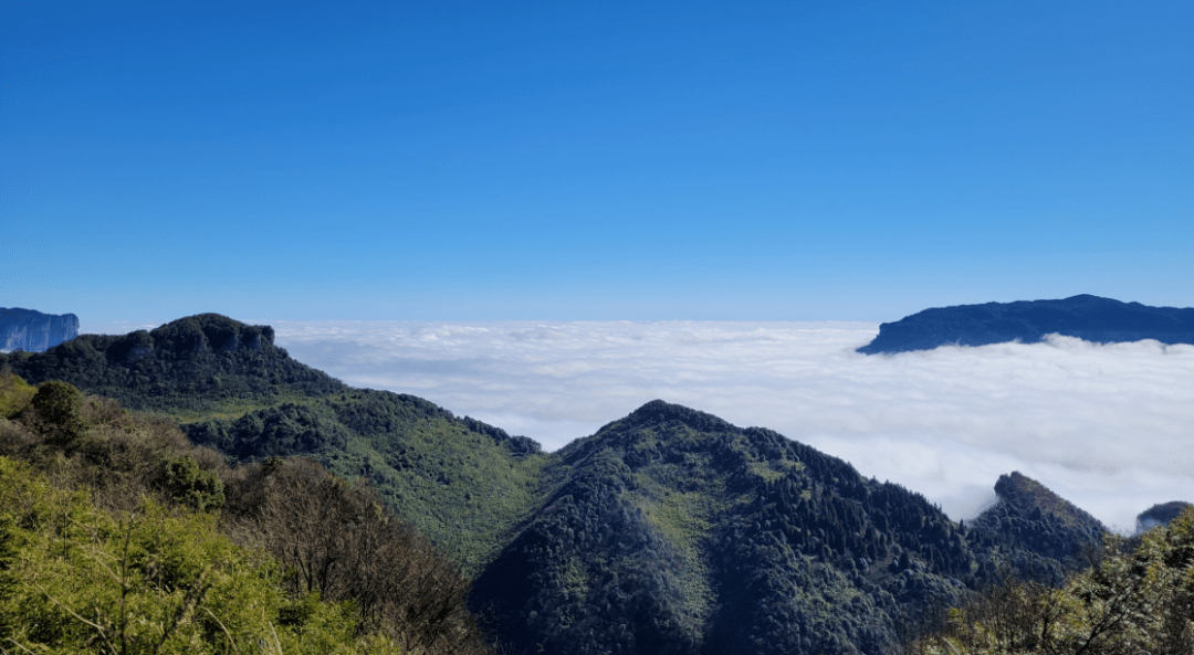 18日上午,金佛山雷電實驗基地(攝/封隆永)18日7時,渝北華鎣山(來源