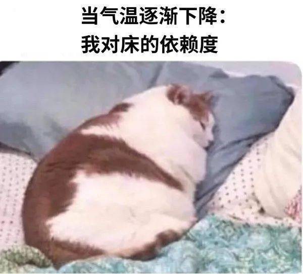 小时候冬天的早上想要起个床到底有多难？