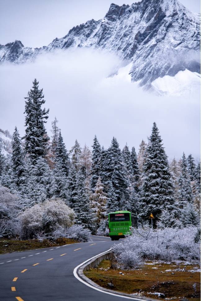 显得|云游四川 半山彩林半山雪丨四姑娘山换上“混搭”彩色新衣