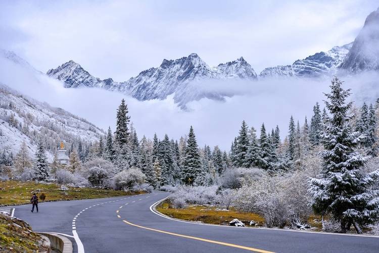 显得|云游四川 半山彩林半山雪丨四姑娘山换上“混搭”彩色新衣