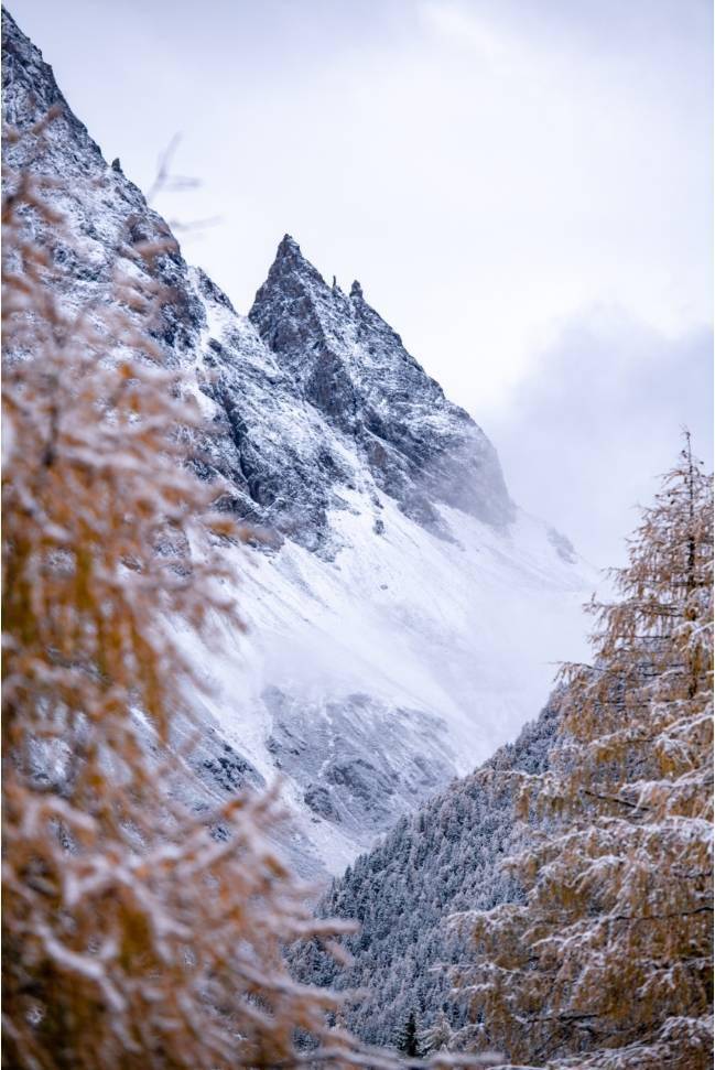 显得|四姑娘山，今天换上了“混搭”彩色新衣