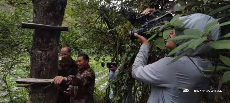 黔江|重磅预告丨明晚10点，锁定CCTV 4！看法国漆艺术家眼中的黔江