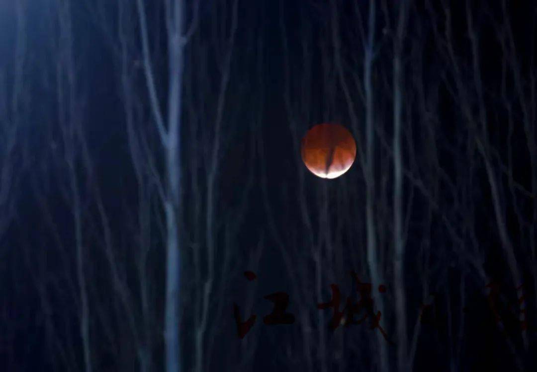 天狗食月！你看见了吗