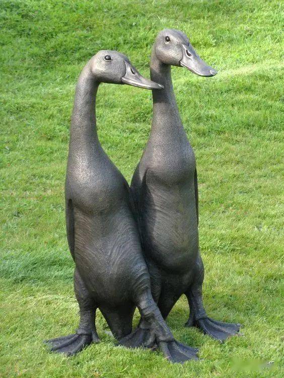 100种怪鸟真是太罕见了见过三只算你牛