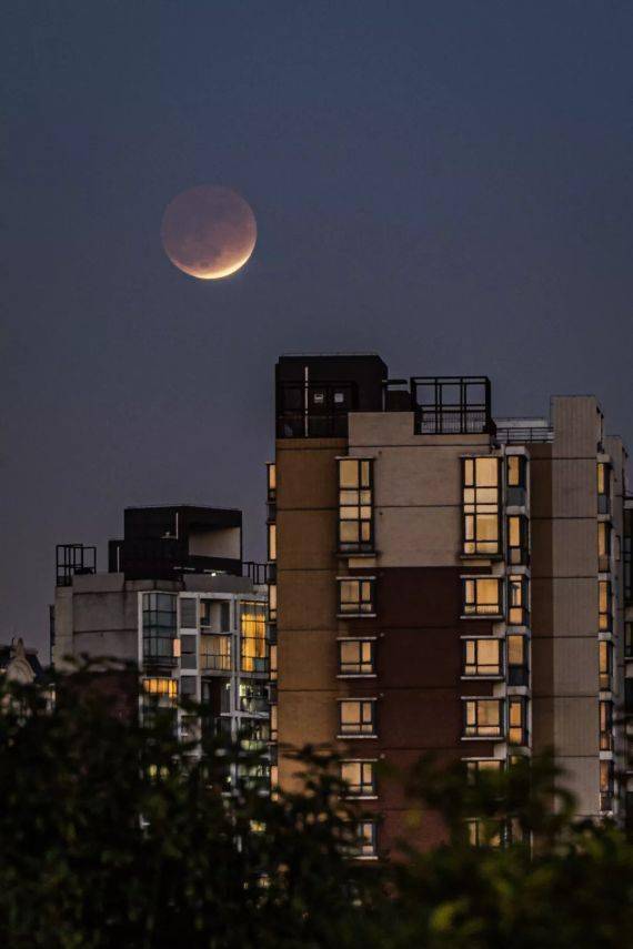 网上“升”明月 天涯共此“食”