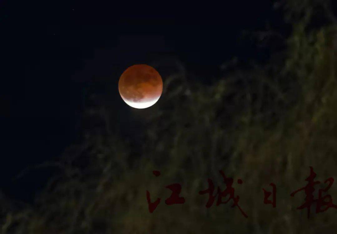 天狗食月！你看见了吗