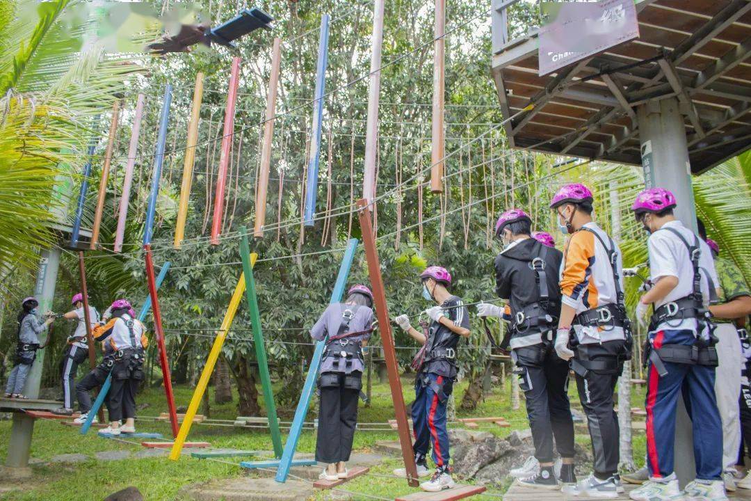 呀诺达研学|学子步入雨林,探寻植物王国的魅力