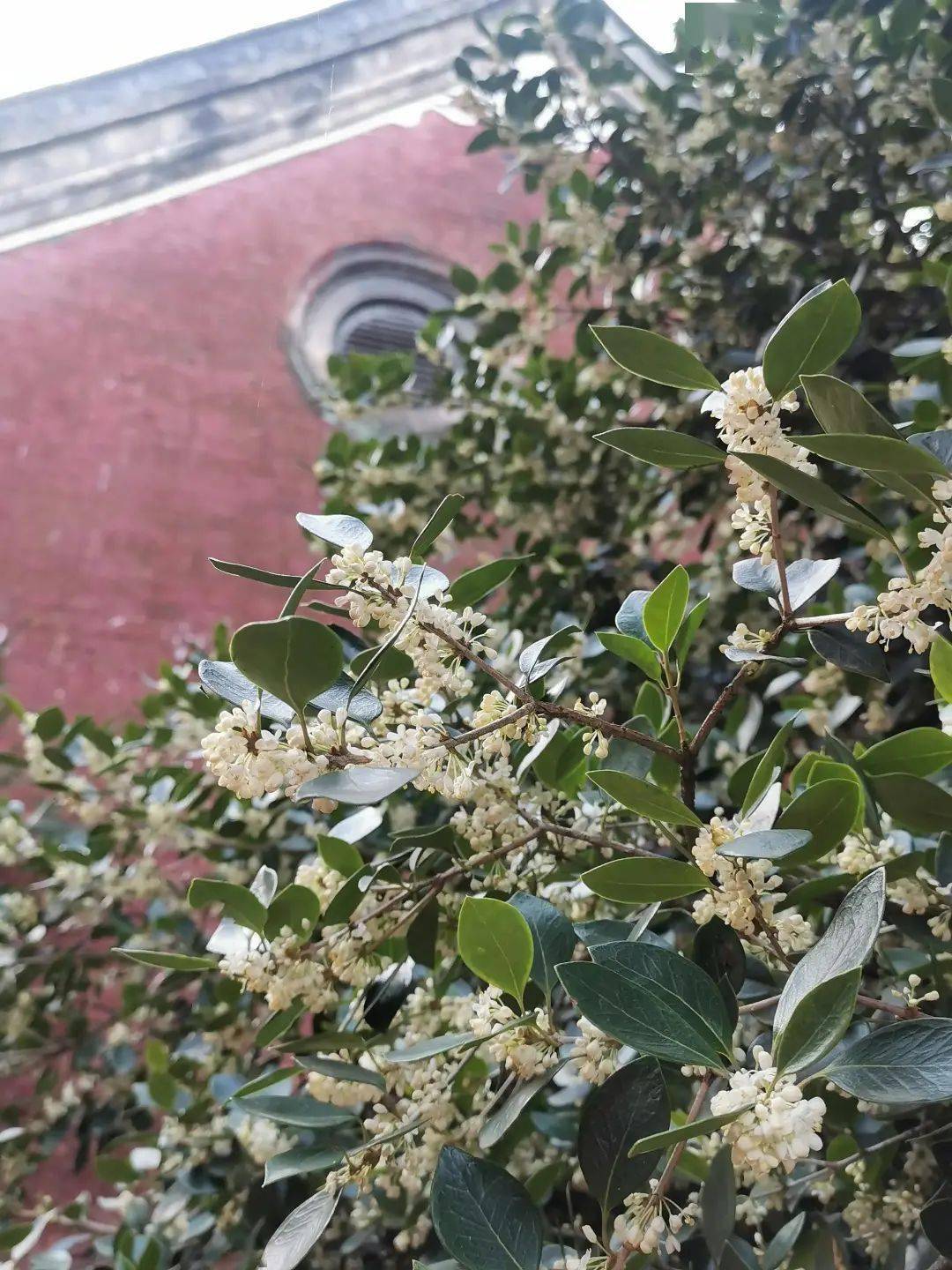 千年古刹秋游镇平菩提寺
