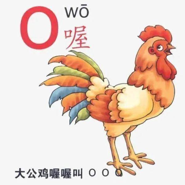 历史|拼音“o”是念“欧”还是“窝”？这竟然还是个“历史问题”