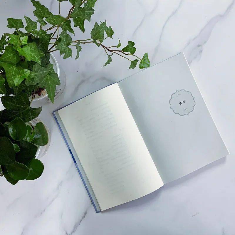 诗歌|《独处的风景》｜人生孤旅的况味