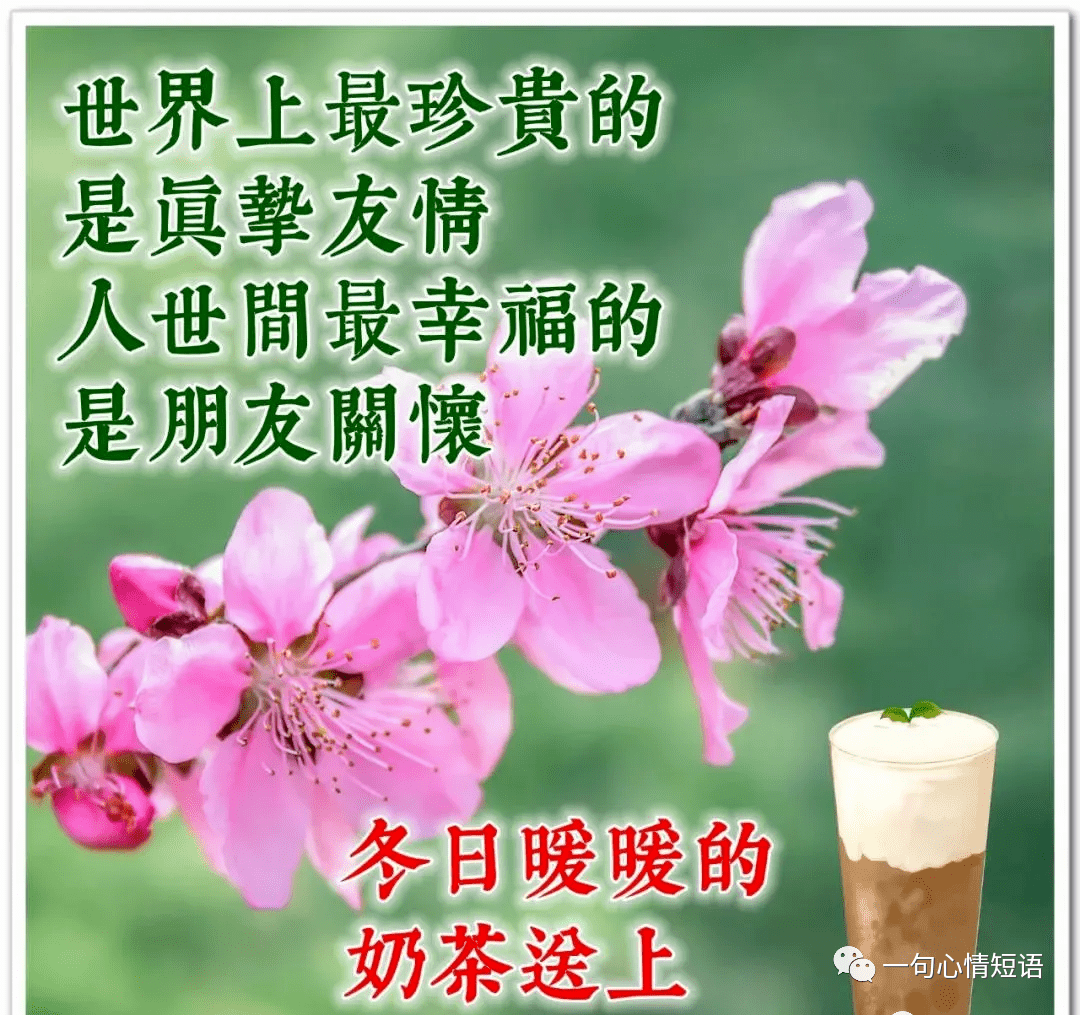 67挚友如茶风雨人生珍惜一生中相遇的缘