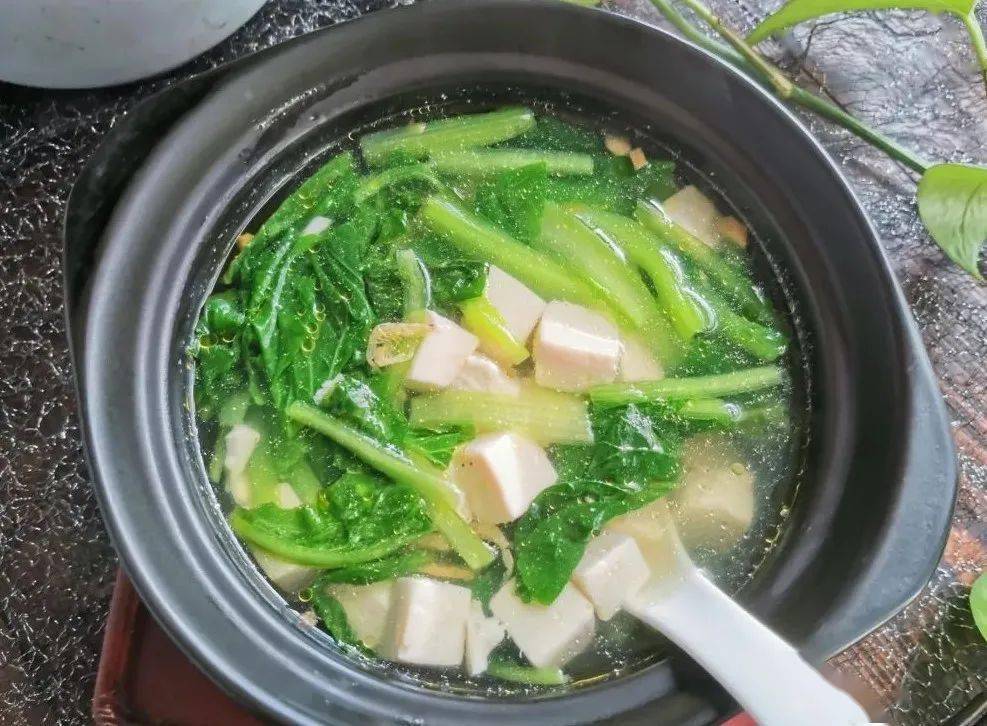 小白菜炖豆腐家常图片