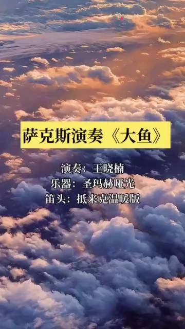 萨克斯一曲大鱼宛如天籁如痴如梦