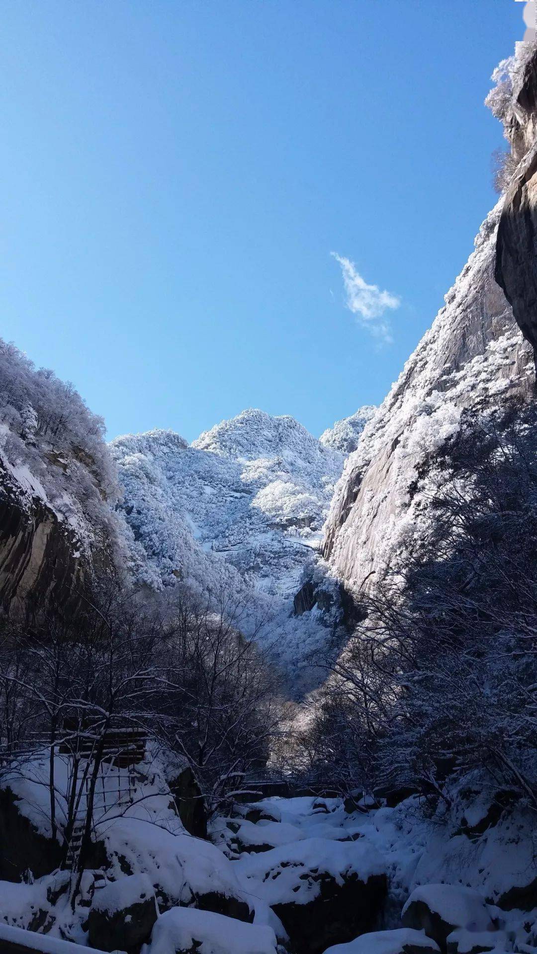 宝鸡太白山雪景图片