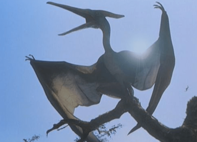 海贼王1032话小议原来你是这样的无齿翼龙啊