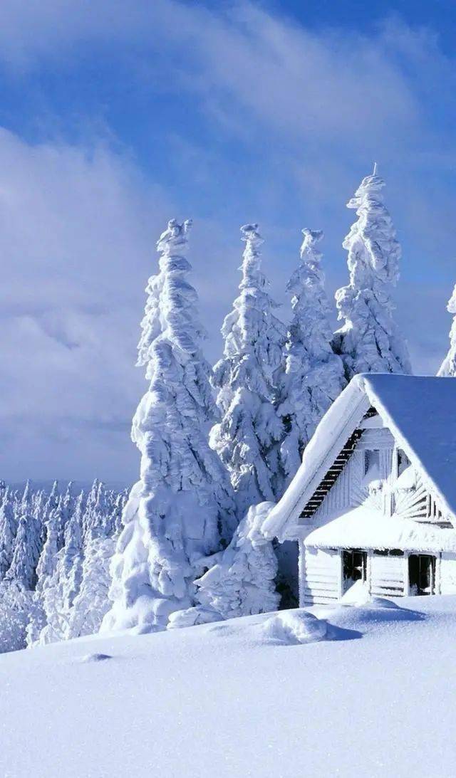 今日小雪和您一起欣赏最美雪景