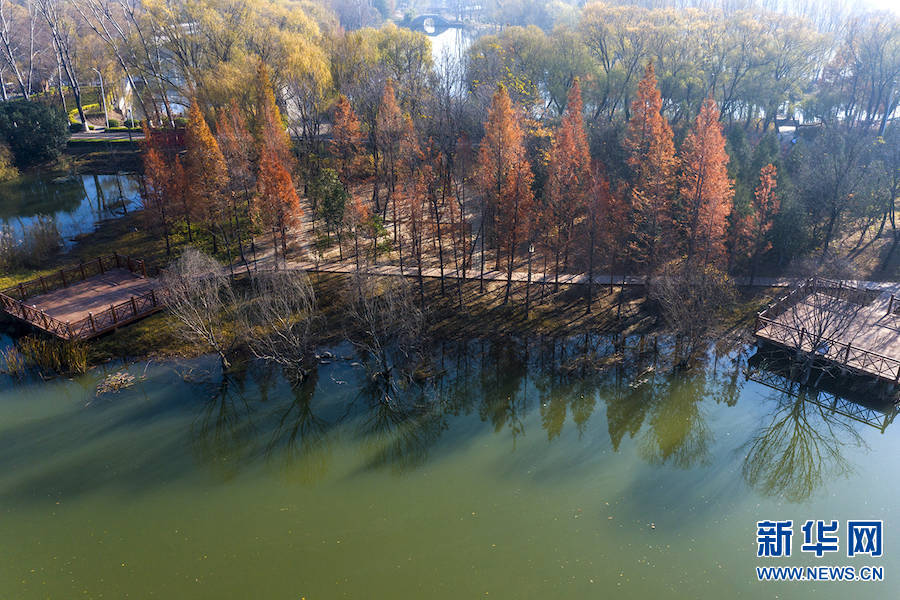 公园|平顶山：白龟湖畔景色美