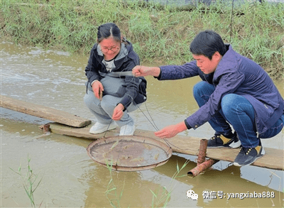 致富经养虾_致富经养河虾_致富经室内养虾视频