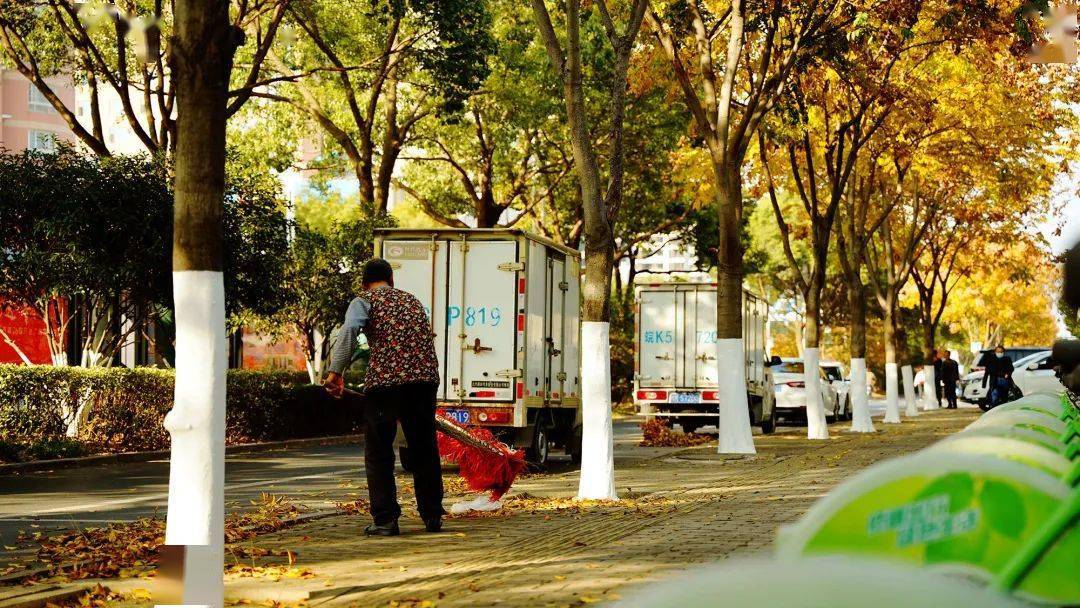 城南公園幸福路港口路文福路交通路鄉村小路······臨泉從來不