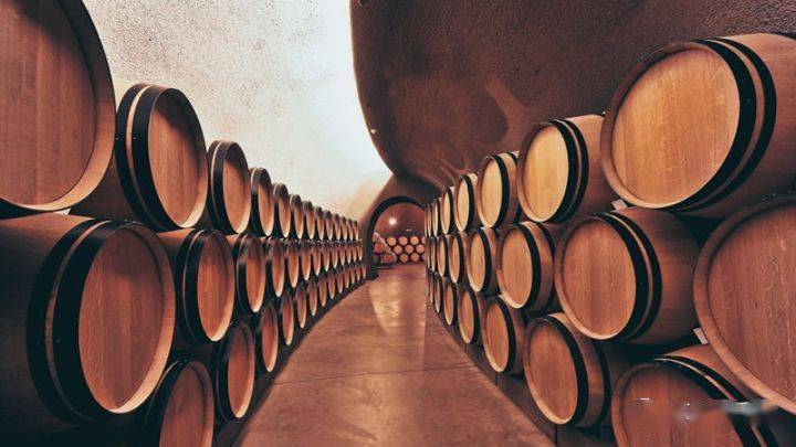 进行|侍酒师口中的“传统”与“现代”之争